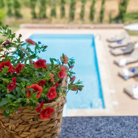 Con Piscina - - “villa Elena” 빌라 알게로