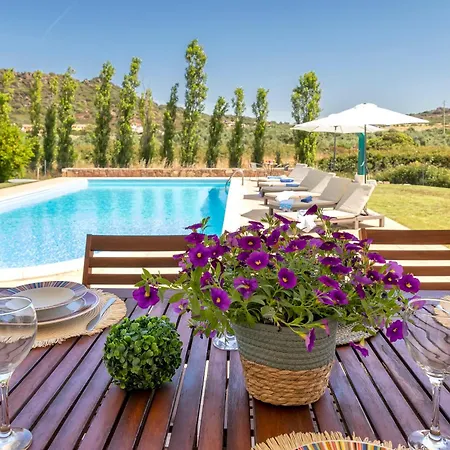 빌라 Con Piscina - - “villa Elena” 알게로