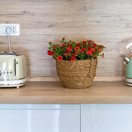 Con Piscina - - “villa Elena” Alguer