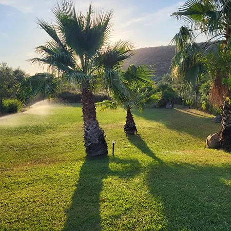 Con Piscina - - “villa Elena” Villa Alghero